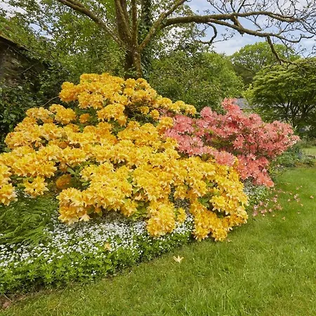 4 Bed In Holmrook Oc-sz158 * Eskdale